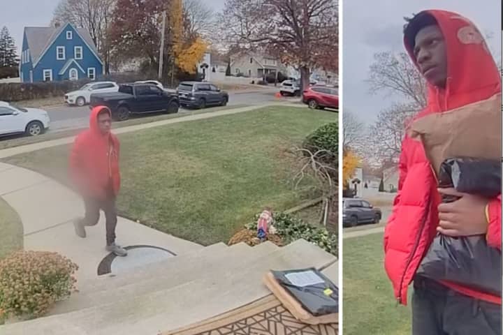 Seen Him? Man, Dog Steal Packages From West Hempstead Porch, Police Say