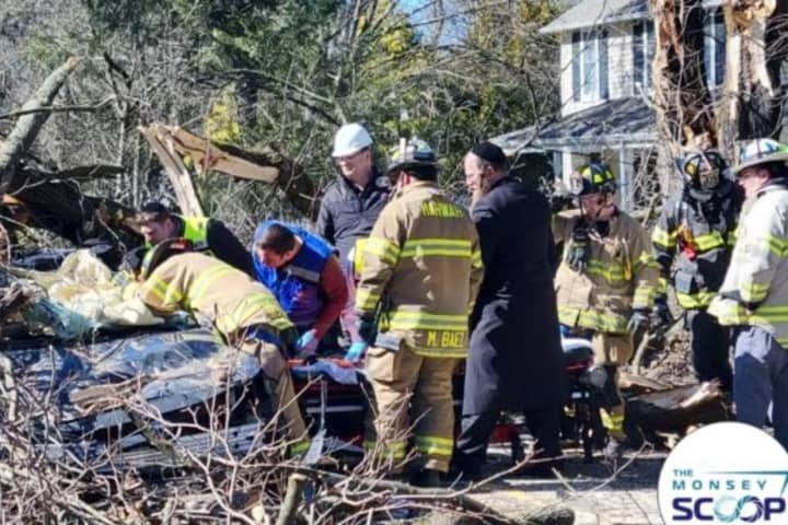 High Winds Knock Tree Onto Car In Upper Saddle River, Trap Female Driver From NYS