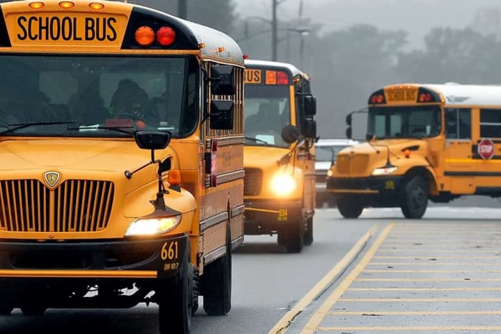 State: Paterson School Bus Company Hired Criminal, Sex Offender Drivers, Ran Unsafe Buses