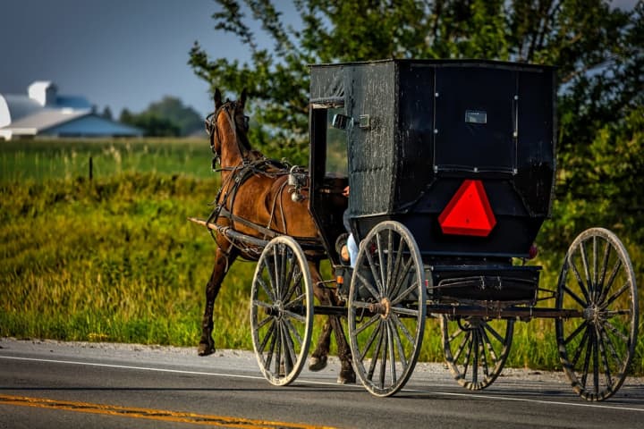 2 Hospitalized In Lancaster County Horse-And-Buggy Crash