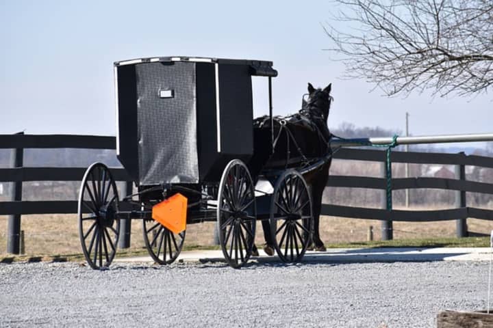 Hit-Run Of Horse-Buggy Suspect, 18, Arrested On DUI In Lancaster County