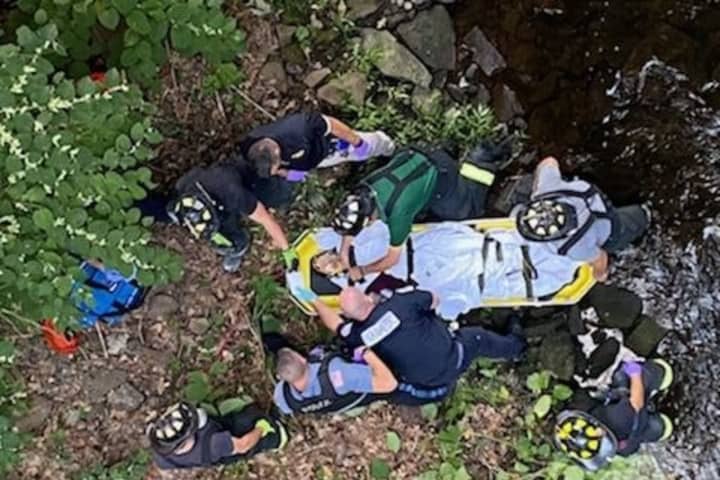 Distraught Woman Plunges 50 Feet From Bergen County Bridge