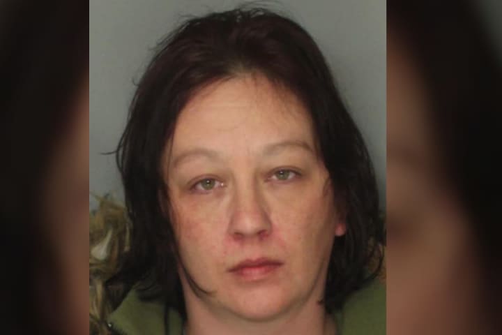 Berks Mom Sentenced For Stabbing Fiance To Death While Daughter Was Home: DA