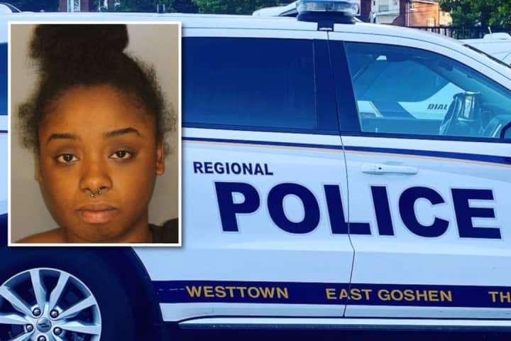 West Chester Woman Charged With Baseball Bat Attack