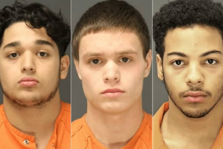 Teaneck PD: Instagram Sneaker Robbers Nabbed After Chase