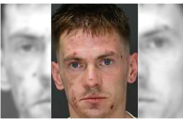 Polish Ex-Con Nabbed In Burglary Spree Bites Wallington Detective: Authorities