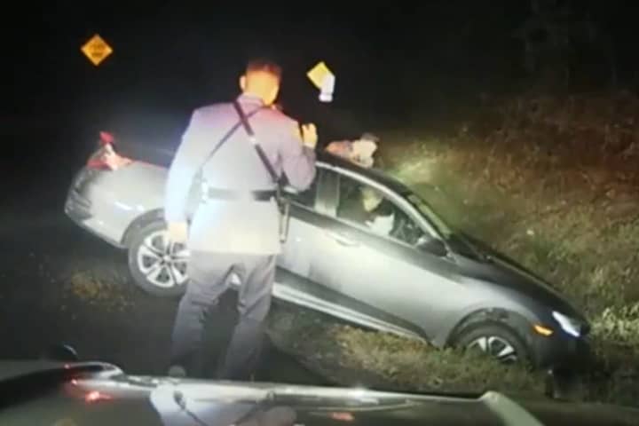 VIDEO: Driver From Poconos Shot By NJ Troopers After He Shoots Dog