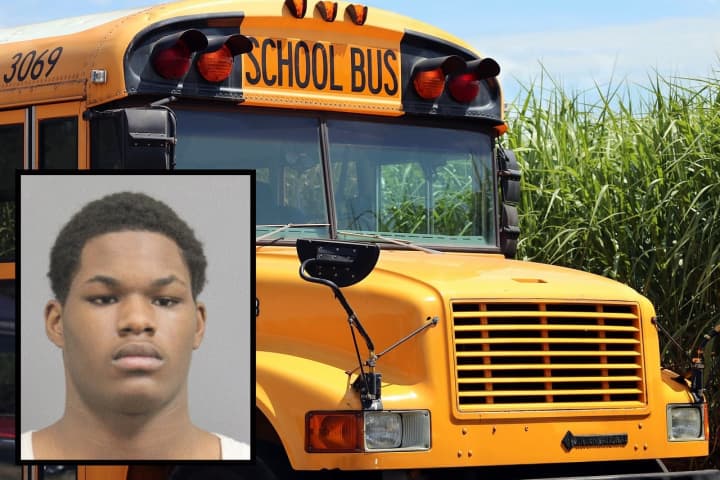 Pellet-Firing Teen Charged For 'Shooting Missile' At Prince William County School Bus: Police