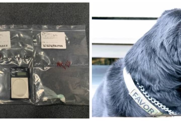 Lack Of License Plate Leads To Traffic Stop, Drug Bust Assisted By K-9 Officer On I-84