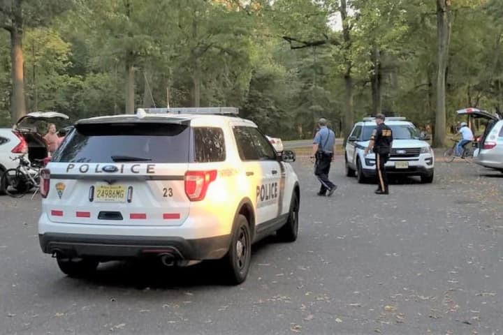 County Duck Pond Park-Goers Victimized In Daylight 'Smash-And-Grab' Car Burglary Spree