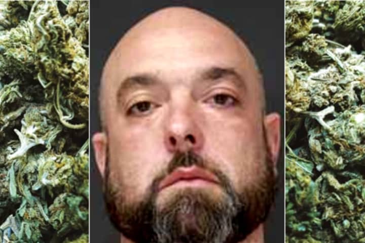 Kush-y Setup: 50 Plants, Four Pounds Of Pot Seized, Englewood Man Busted In Growhouse Raid