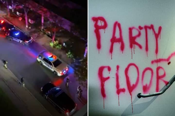47 Guests Seized As Wayne Police Pull Plug On Illegal Pop-Up Party