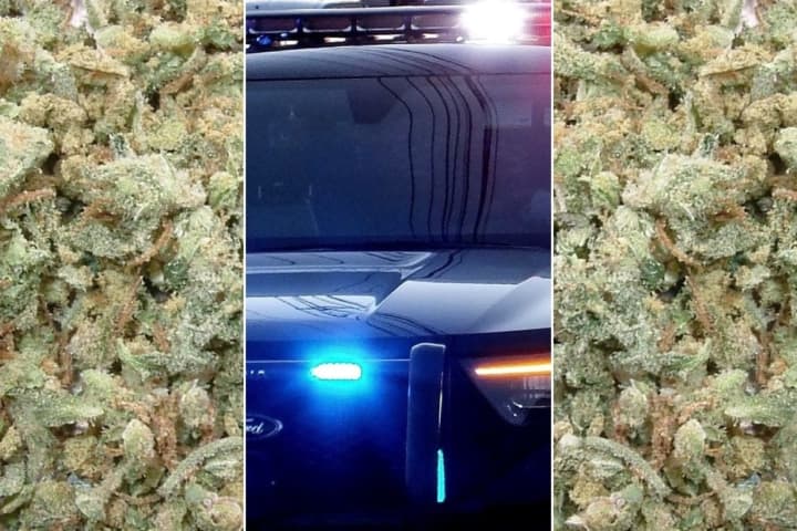 Five Pounds Of Pot In A Suitcase Spells Trouble For Bergen, Rockland Buds