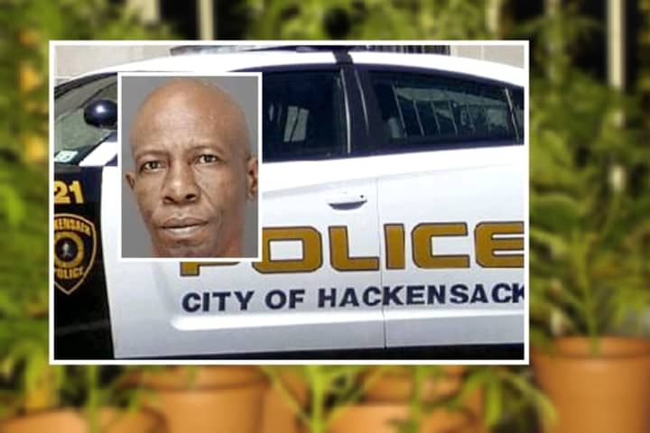 Grow Your Own Way: 62 Pot Plants Seized, Resident Jailed In Hackensack Backyard Operation
