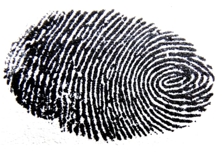 COVID-19: Rockland Sheriff Temporarily Halts Pistol Permits, Fingerprinting