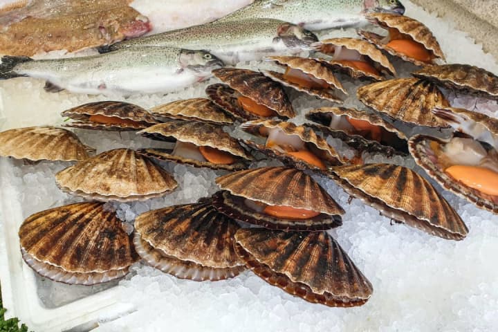 Massachusetts Scallops Sold In Stores, Restaurants Could Cause Food Poisoning, FDA Warns