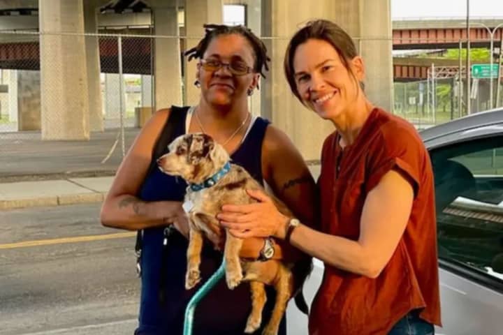 NY Woman's Lost Dog Found By Actress Hilary Swank