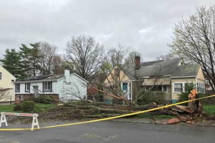 Strong Storms Bring Down Trees, Utility Lines, Knocking Out Power In Area