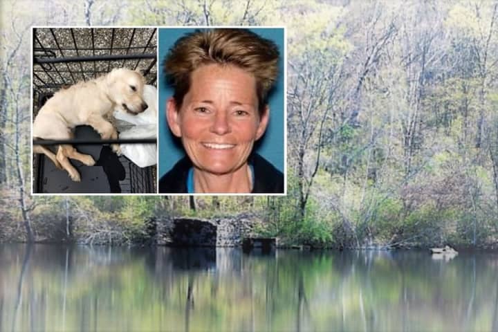 NJ Woman Who Drowned Weeks-Old Puppy Gets 180 Days In Jail, Probation, Community Service