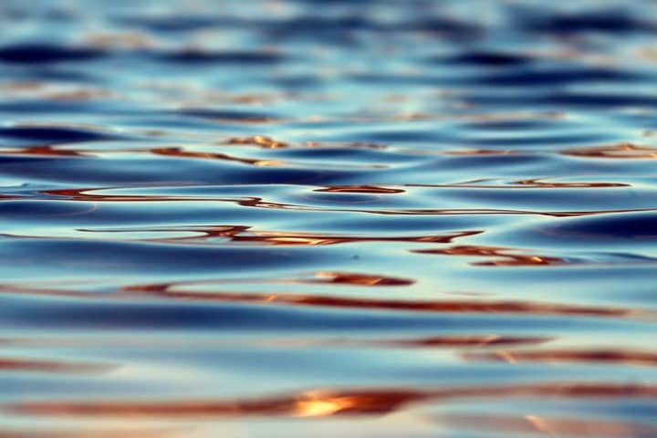 Berks County Man, 92, Drowns After Reaching For Plank In Pond: Report