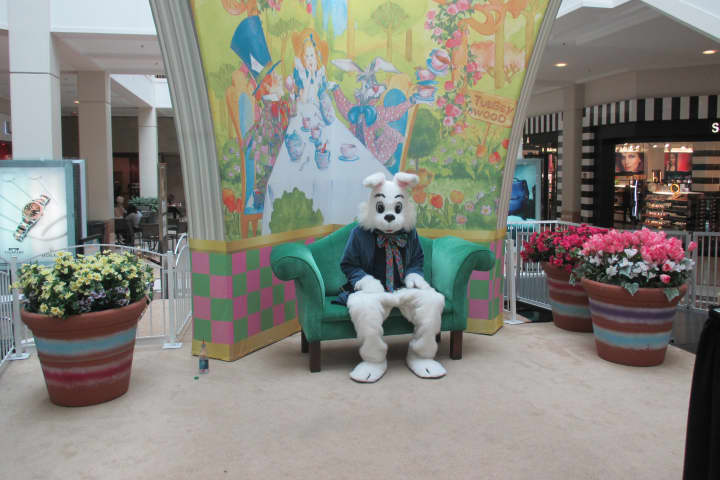 Hop Along The Easter Bunny Trail To The Westchester Mall In White Plains