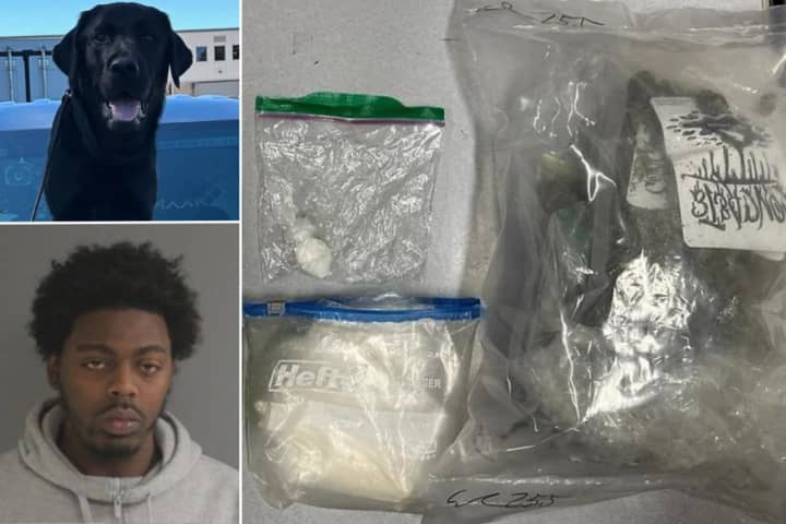K9 Finds Cocaine, More During Wrong-Way Norwich DUI Stop: Police