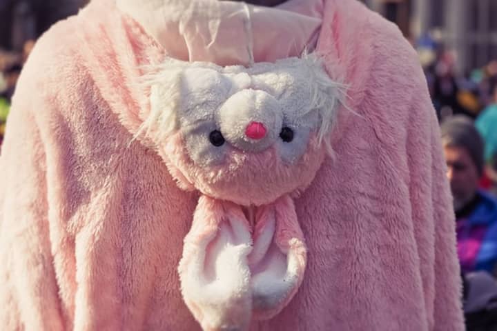 Warren County Man In Pink Bunny Costume Exposes Himself To Boy, 10, Trick-Or-Treating With Mom
