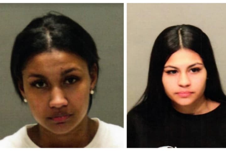 Two Women From Fairfield County Flee Salon In Stolen Vehicle, Police Say