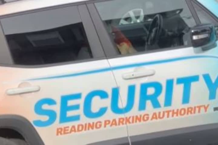 Video Captures 'Alleged Illegal Activity' That Left Reading Parking Authority Employee Jobless