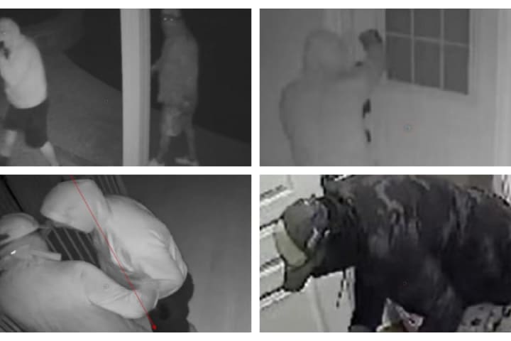 'Russian' Burglars 'Ransack' Home In Montgomery County: Police