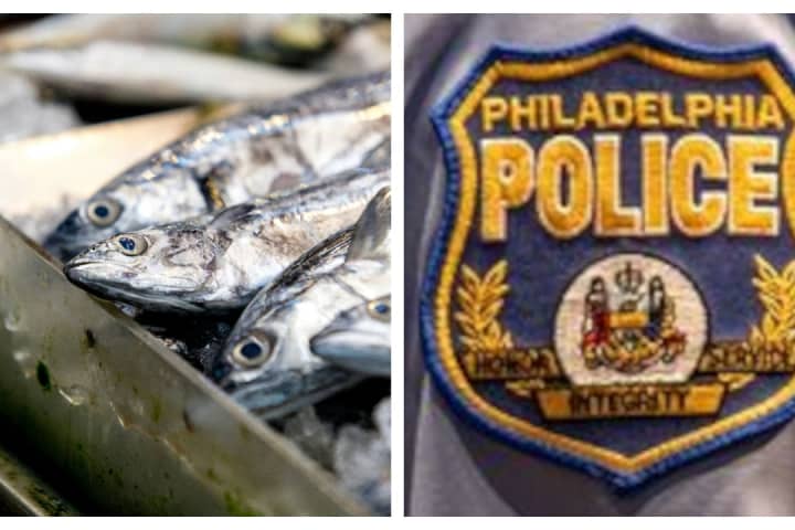 Thieves Rob Truck Full Of Seafood In Philadelphia: Authorities