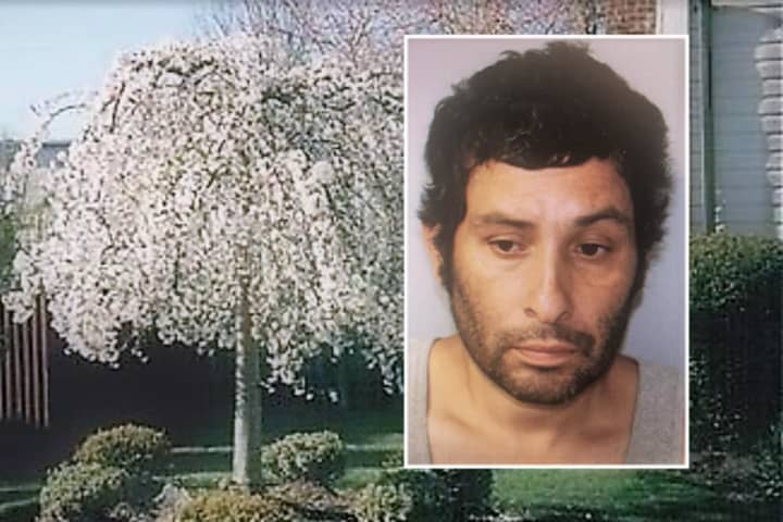 Bergenfield PD: Name On Work Van Foils Painter Who Swiped Tree, Other Items In Theft Spree