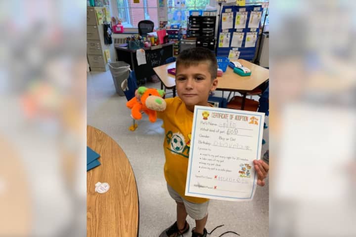 Center Moriches Mother Searches For Son's Lost Stuffed Animal: 'We Need Your Help'