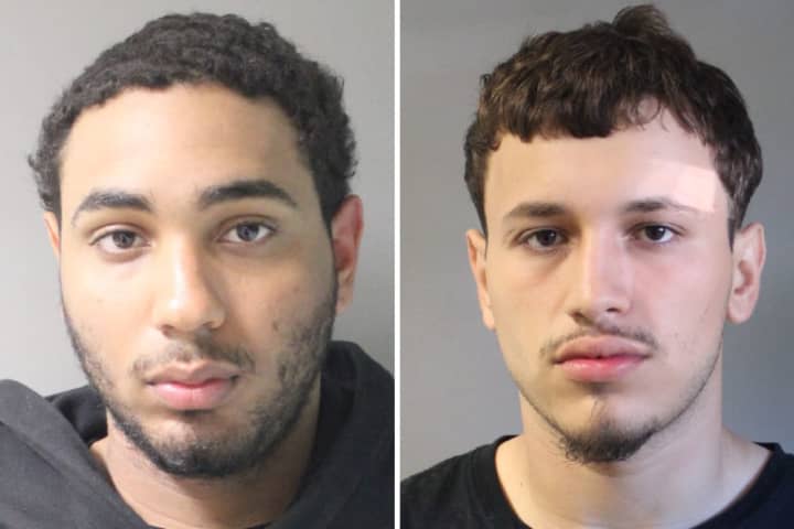 Suspected Catalytic Converter Thieves: Duo Arrested, One At Large In New Hyde Park