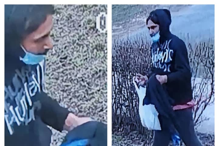 Know Him? Police Look To ID Hampden County Package Thief