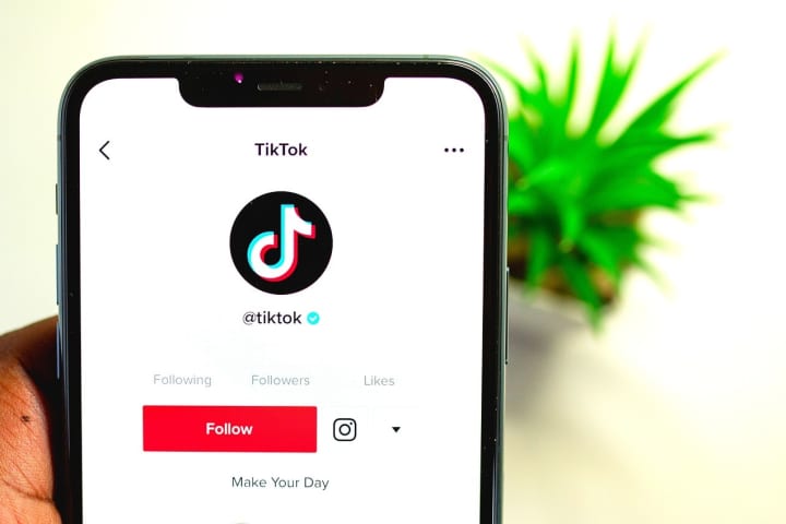 TikTok Ban Explained: What's The Fate Of Popular Video Sharing App?