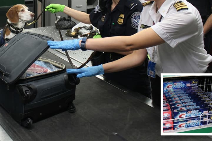 $42K In Sealed Toothpaste Boxes Lands PA Airport Staff Federal Sentence