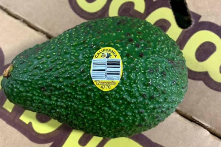 Health Risk Leads To Avocado Recall