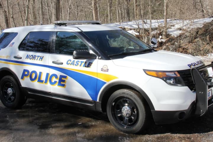'Person In Crisis' Located In Hudson Valley, Police Say
