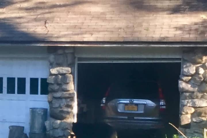 Bear With Us: Latest Sighting Comes Outside Garage At Garrison Home