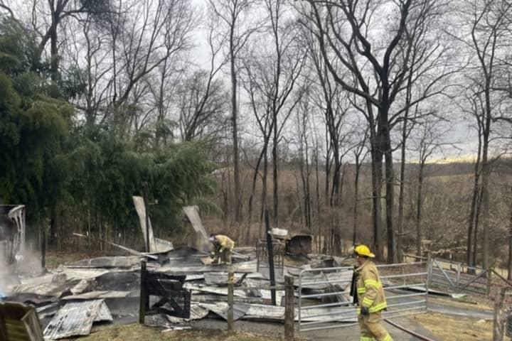 Donkeys, Goats Escape Fire Unscathed In Jarrettsville
