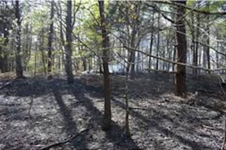 Police Search For Arson Suspect After Brush Fire Breaks Out In Suffolk