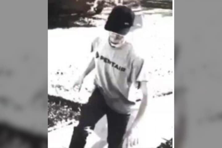 'First Grinch Of The Season': Package Thief Wanted In Chesco, Police Say