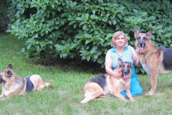 Herd Of German Shepherds Removed From Franklin Lakes Couple's Home