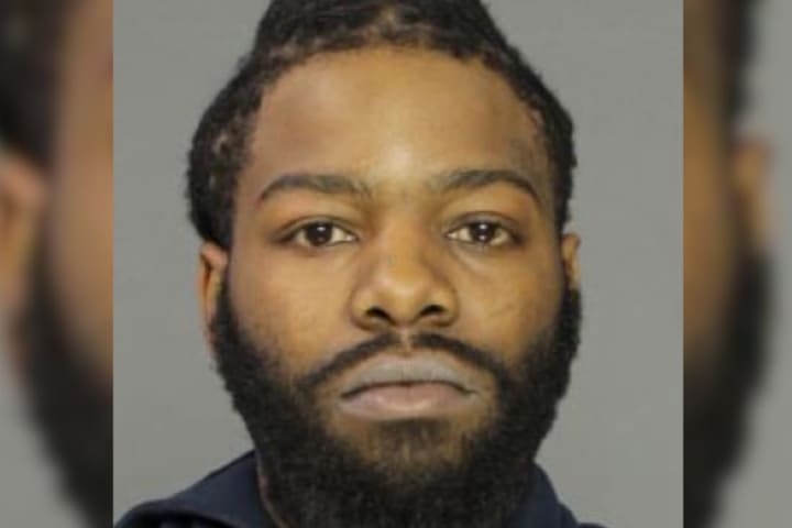 Philly Driver Found With Guns, Drugs In Berks: Police