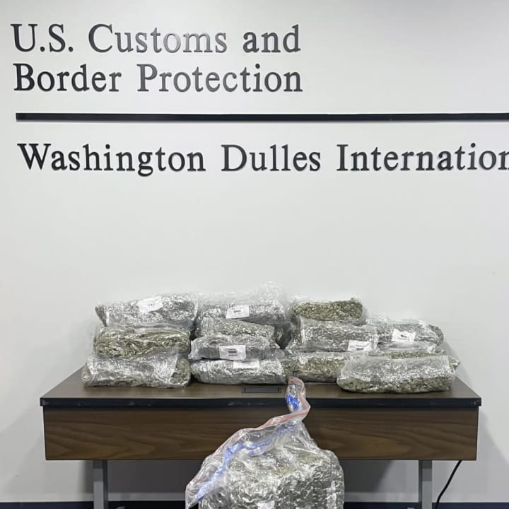 The recovered marijuana at Dulles International Airport