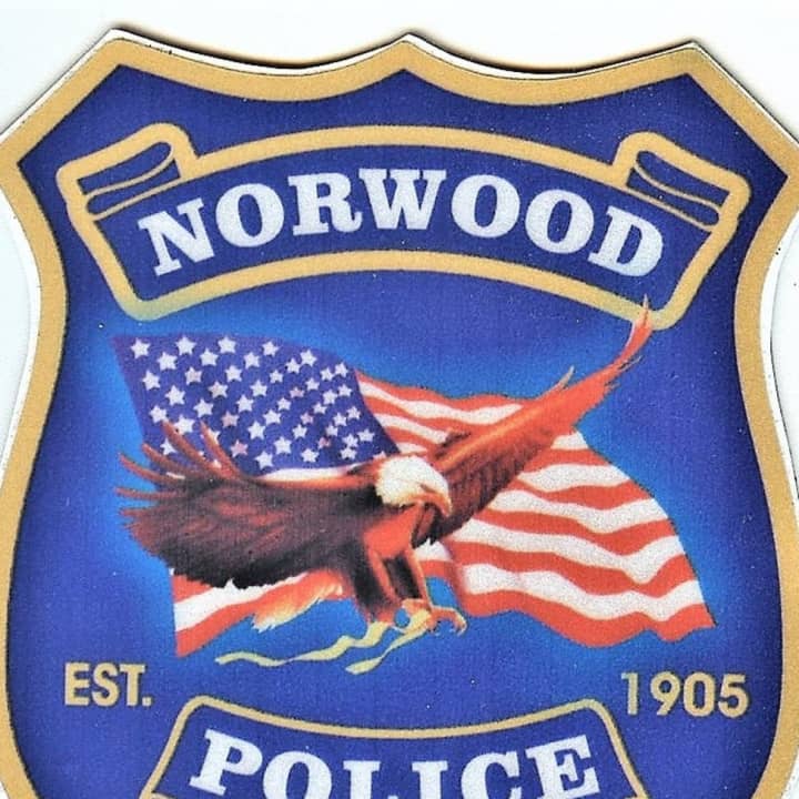 Norwood Police Chief Jeffrey Krapels asked residents and merchants to check their surveillance video, in the hopes that images of the thieves were captured.