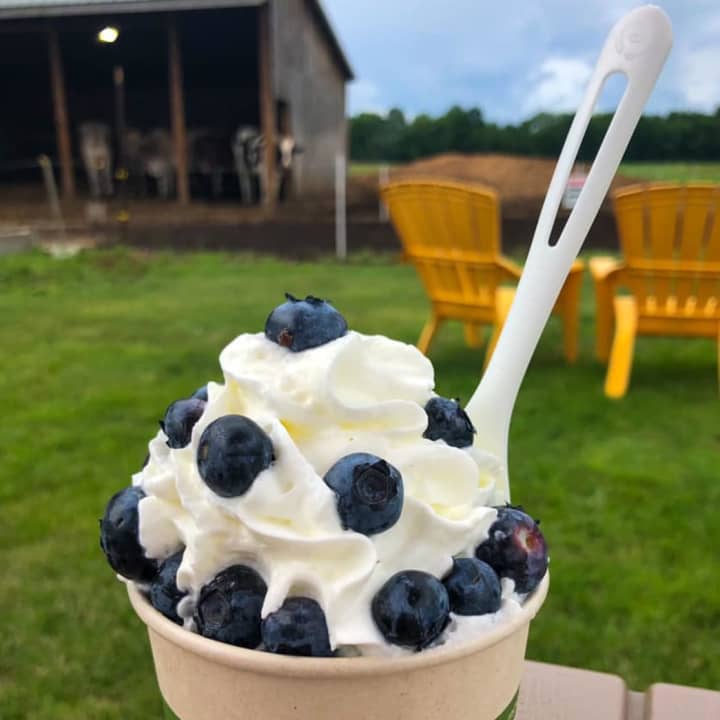 Berries and cream from the Hadley Scoop