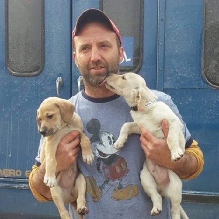 Steve Quilliam of Middletown&#x27;s Grateful Doggies makes fast friends with two puppies.