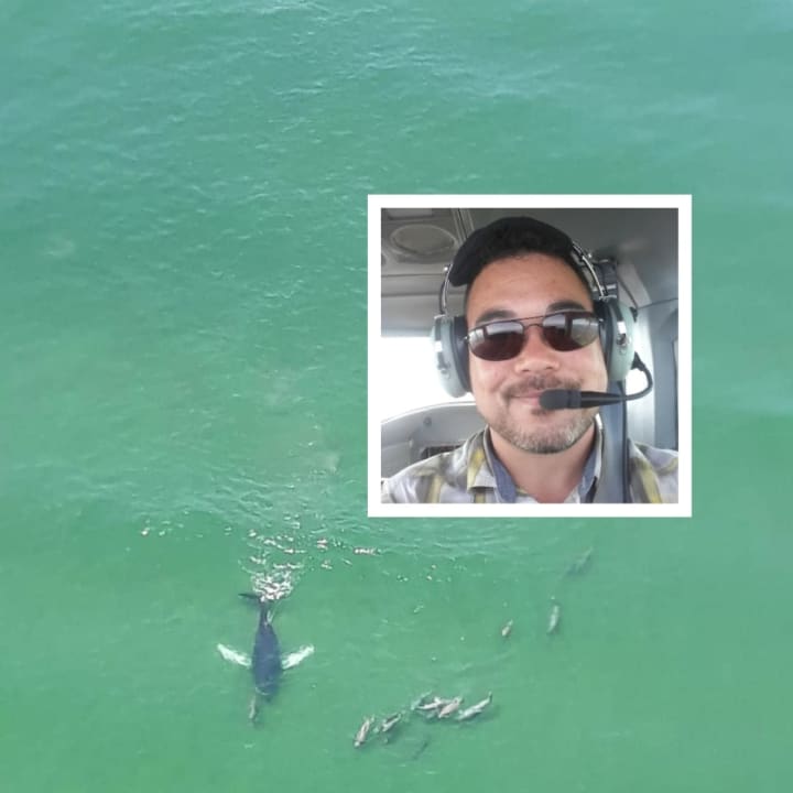 Banner pilot Jeromie Hunter is to thank for the stunning photo of a whale swimming with dolphins off the Jersey Shore coast taken Tuesday.